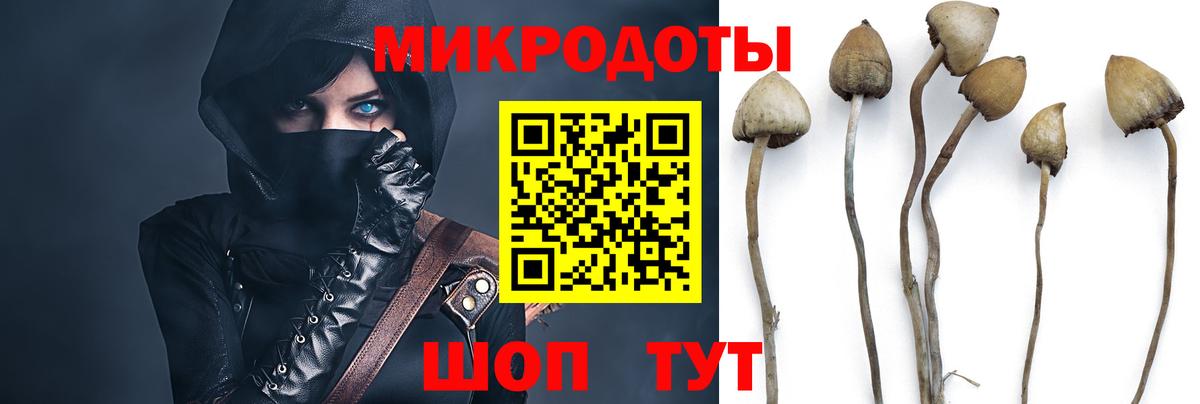 Кировск  Галлюциногенные грибы GOLDEN TEACHER  цена наркотик  Вход с VPN 